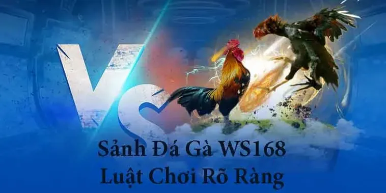Cách Chơi Đá Gà WS168 Tại F168 Hướng Dẫn Chi Tiết Vui Vẻ 2 Cách Chơi Đá Gà WS168 Tại F168 Hướng Dẫn Chi Tiết Vui Vẻ