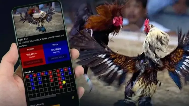 Khám Phá Đá Gà F168 Với Những Trận Đấu Hấp Dẫn Và Kịch Tính Vui Nhộn